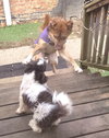 MAX - Photo 4
