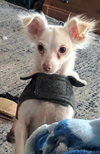 CASPER - Photo 1