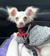 CASPER - Photo 5