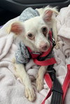 CASPER - Photo 4
