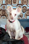 CASPER - Photo 2