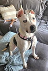 LEXIE - Photo 2