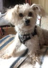 TEDDY - Photo 5