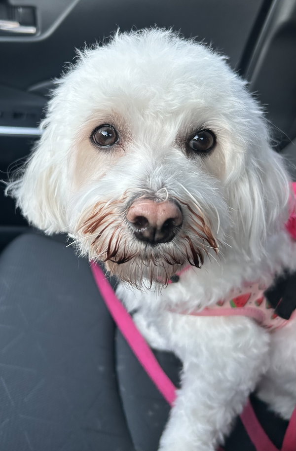 BONNIE