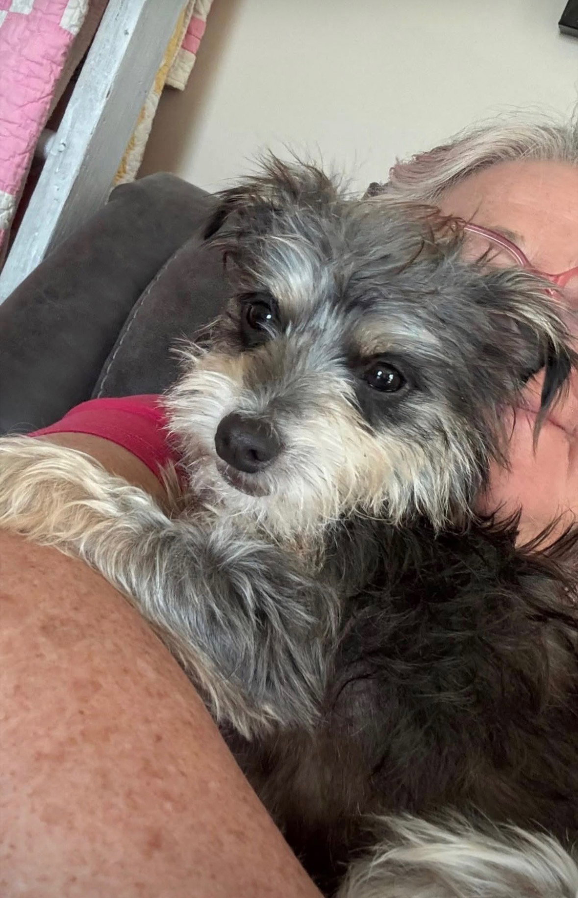 MIA