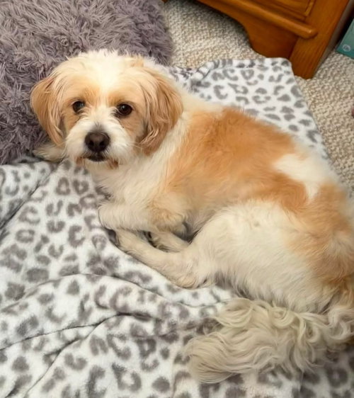 Sammy photo 3