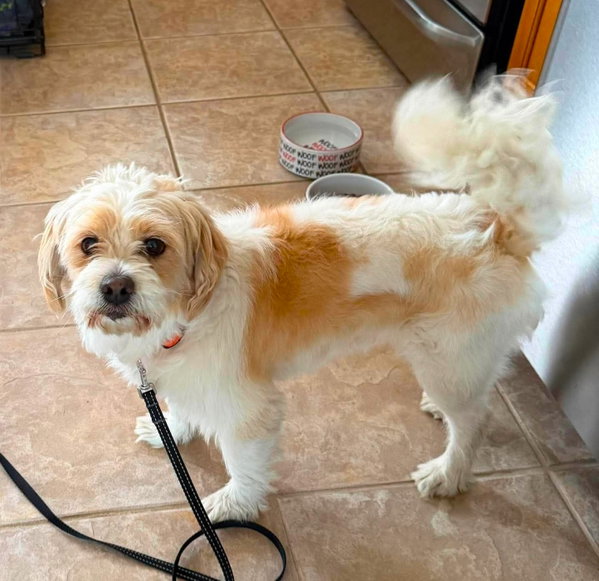 SAMMY