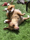 Charlie - Photo 3