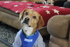 Colby - Photo 2
