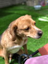 Colby - Photo 3