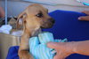 Sammy - Photo 4
