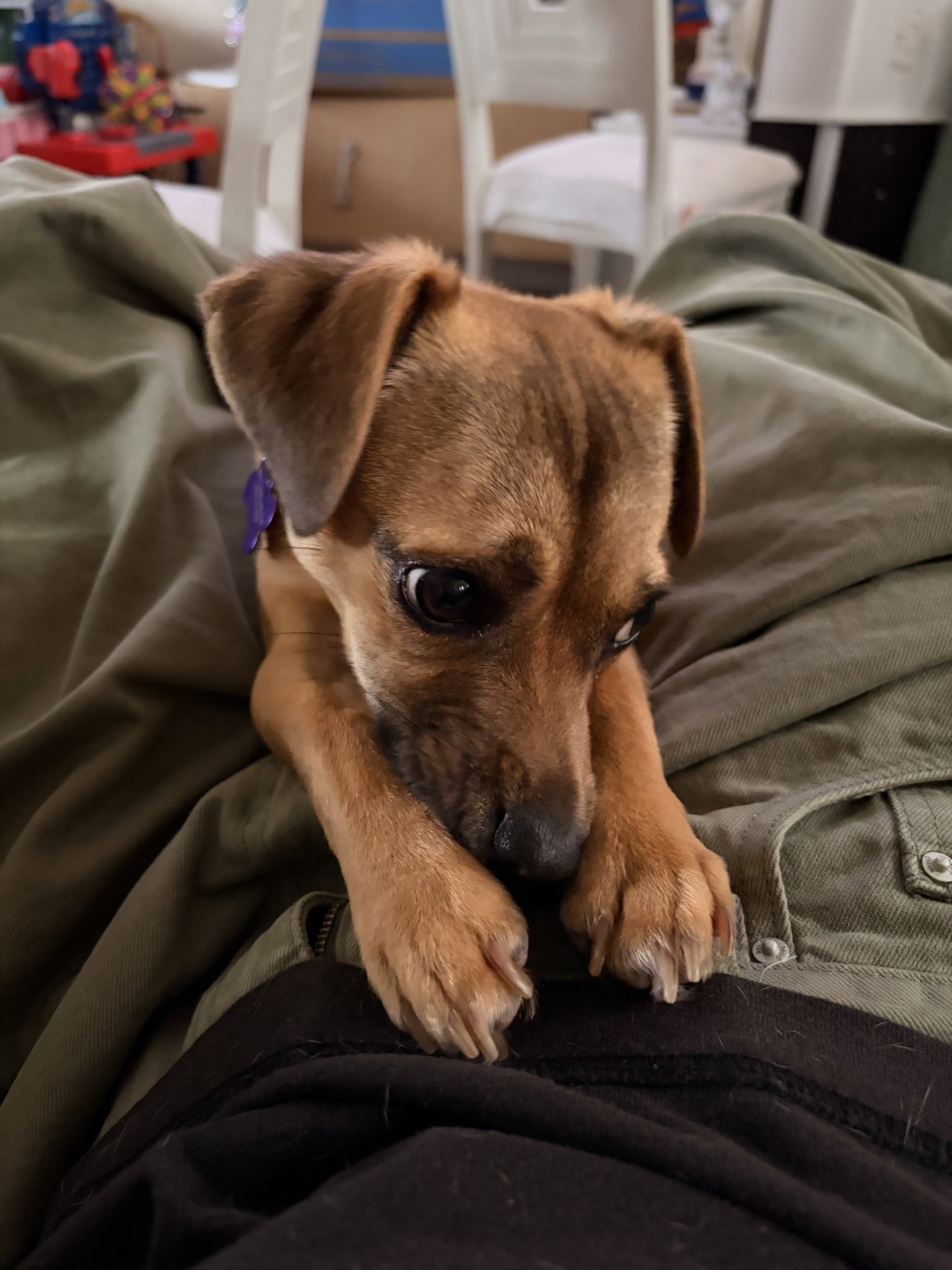 Sophie Image