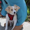 Teddy - Photo 4