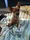 Jack - Photo 1