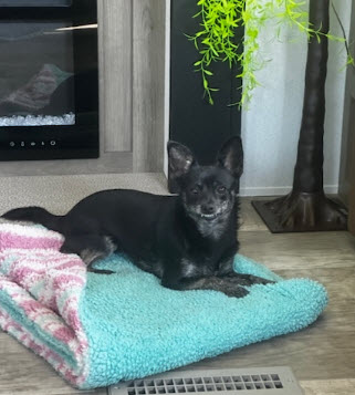 Gigi Image