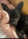 Gigi - Photo 2