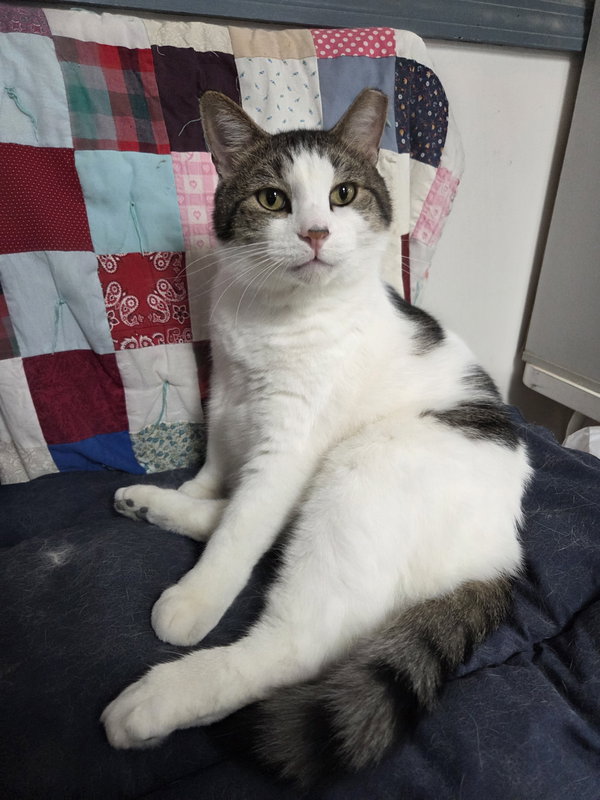 Sir Chunksalot