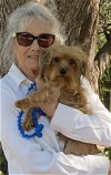 adoptable Dog in waco, TX named Sandy