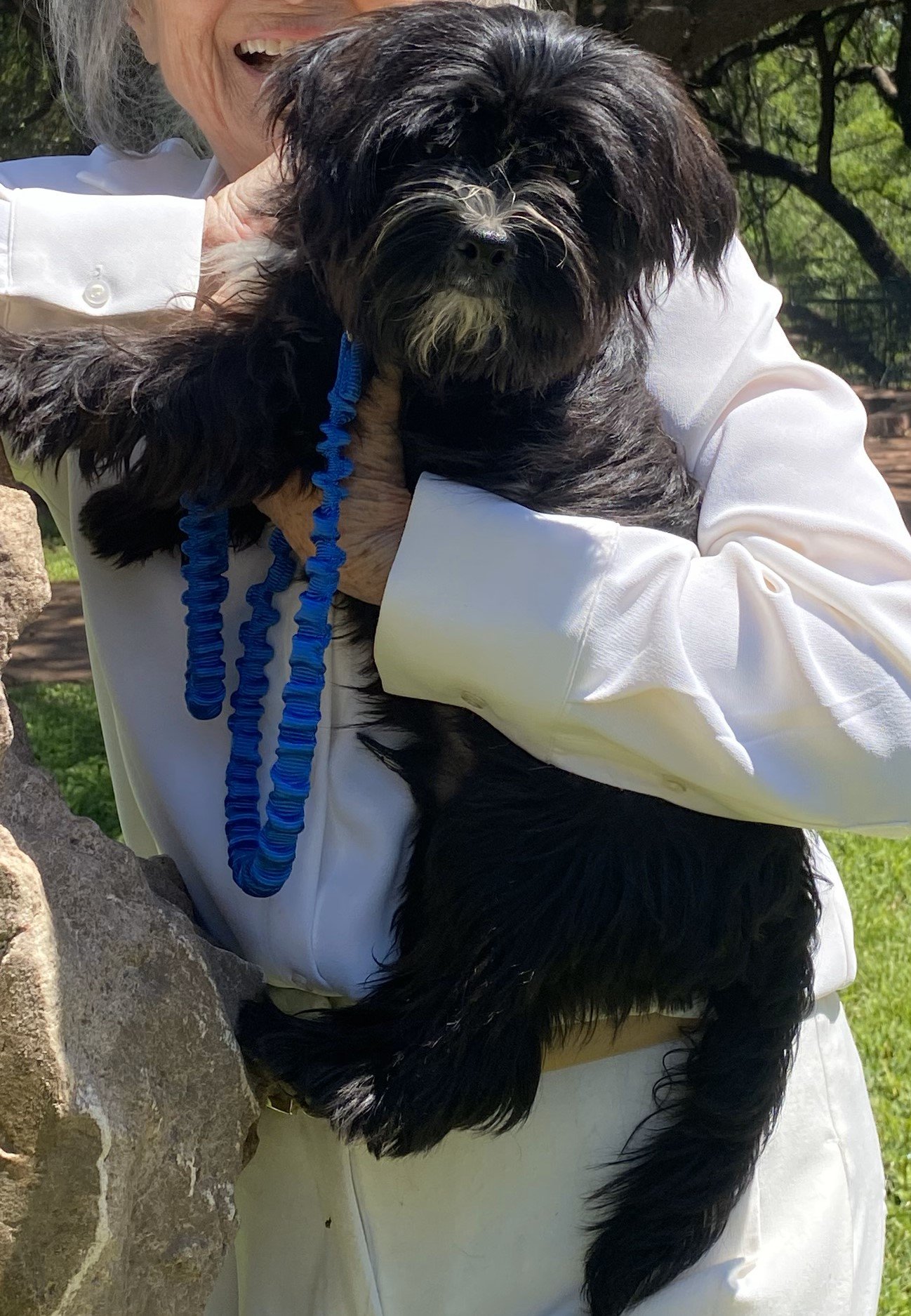 adoptable Dog in Waco, TX named Charlie