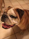 Burt