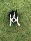 Buster