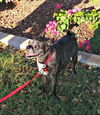 Minnie Pearl