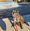 Minnie Pearl