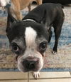 Buster now Moco