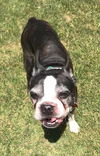 Buster now Moco