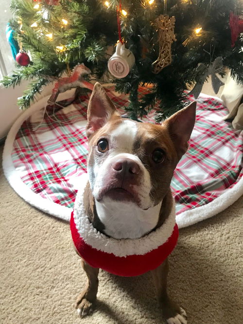 Buster
