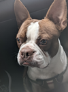 Billy
