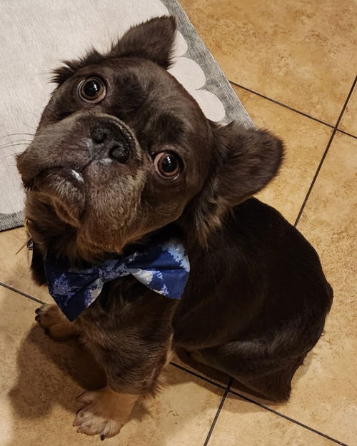 Laszlo