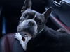 Charlie