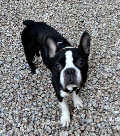 Oliver fka Winston
