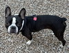 Oliver fka Winston