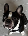Oliver fka Winston