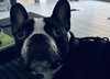 Oliver fka Winston