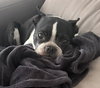 Quinn
