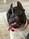 Dexter