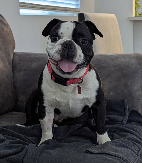 Sampson