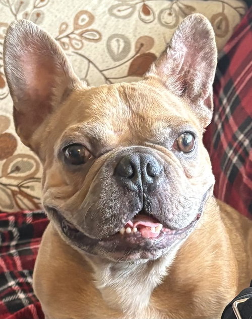 Benny