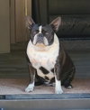 Roxy