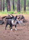 Roxy