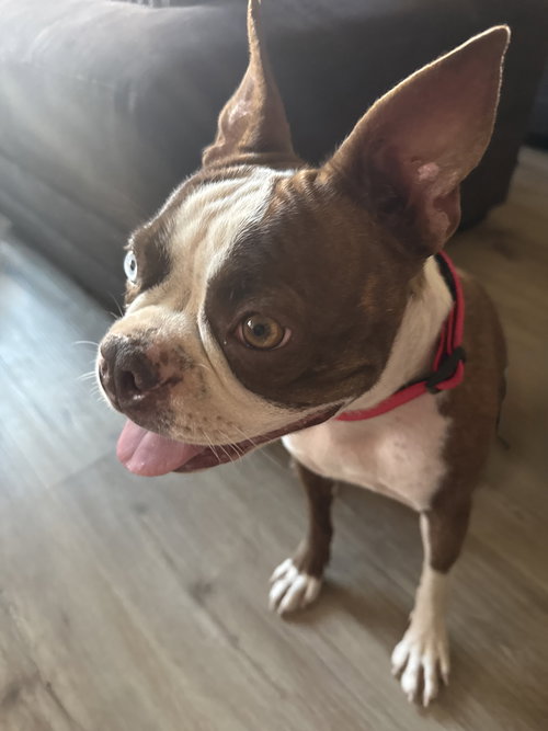 Ruby