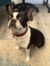 Maggie