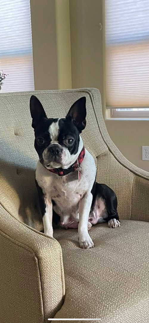 Maggie