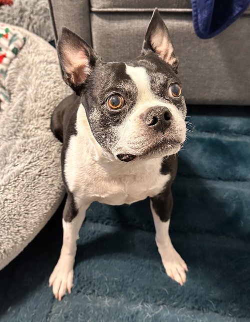 Oswald