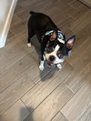 Oswald