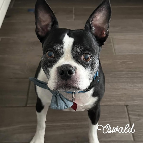 Oswald