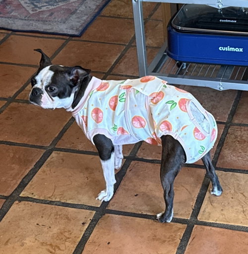 Lola
